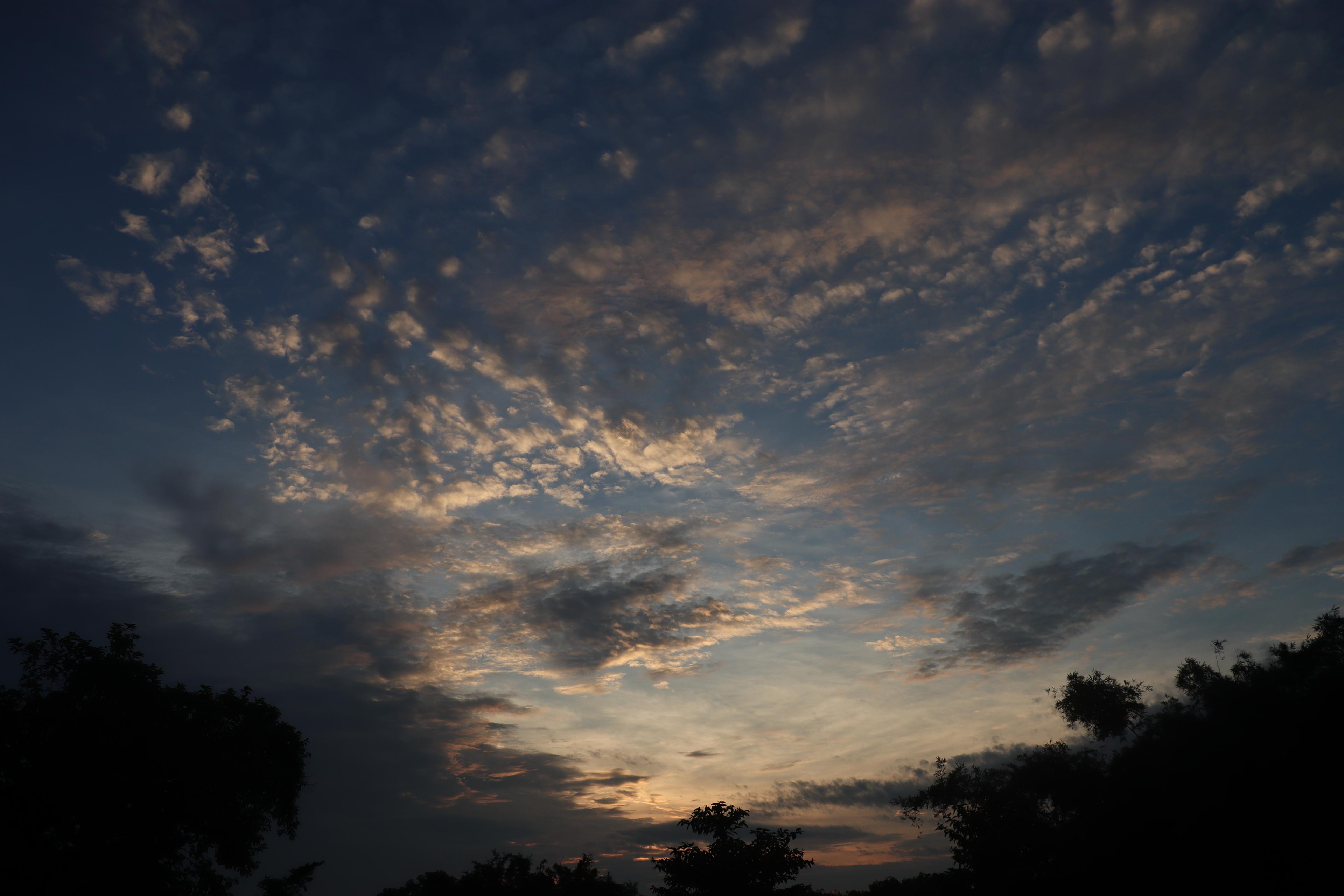 Twilight