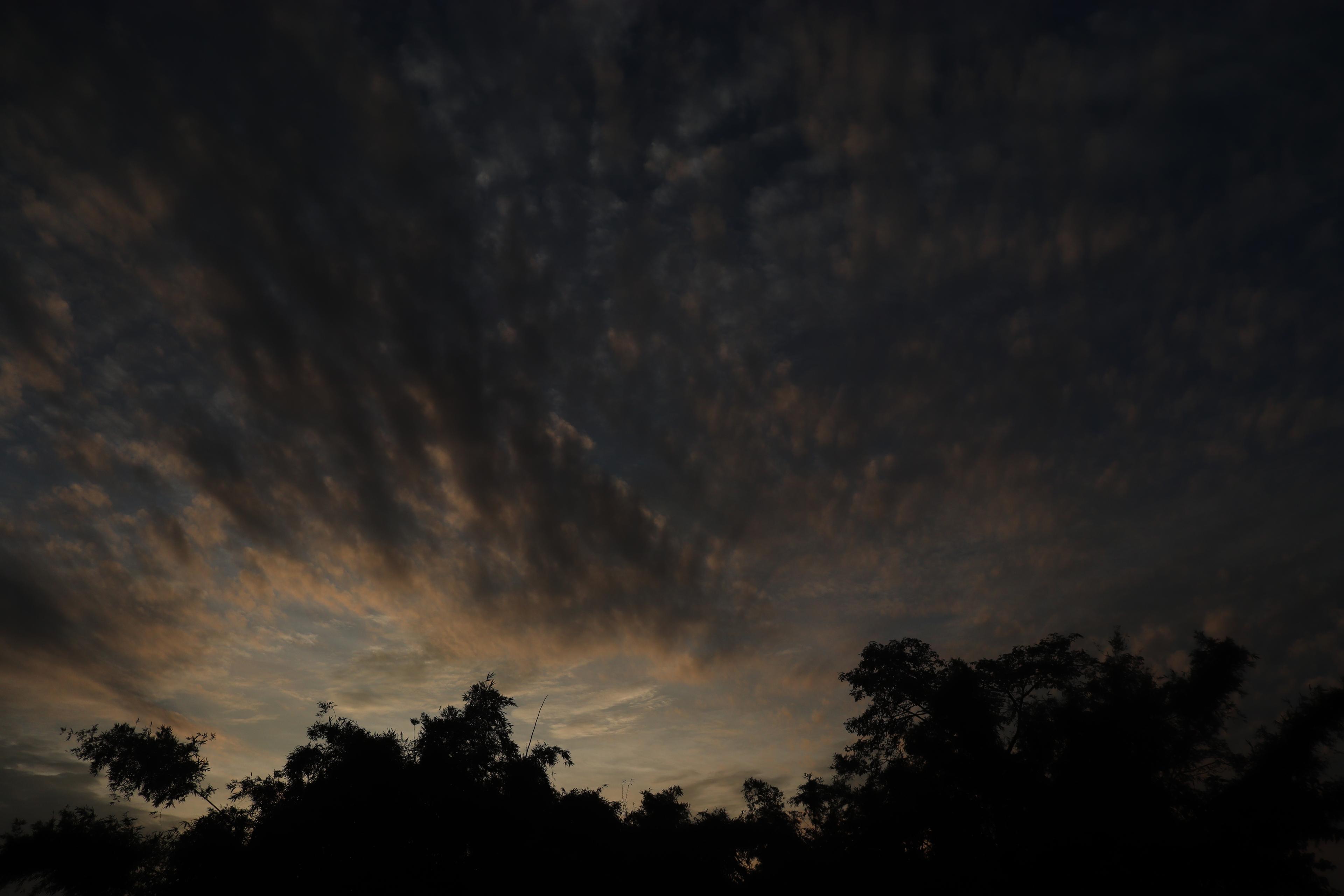 Twilight