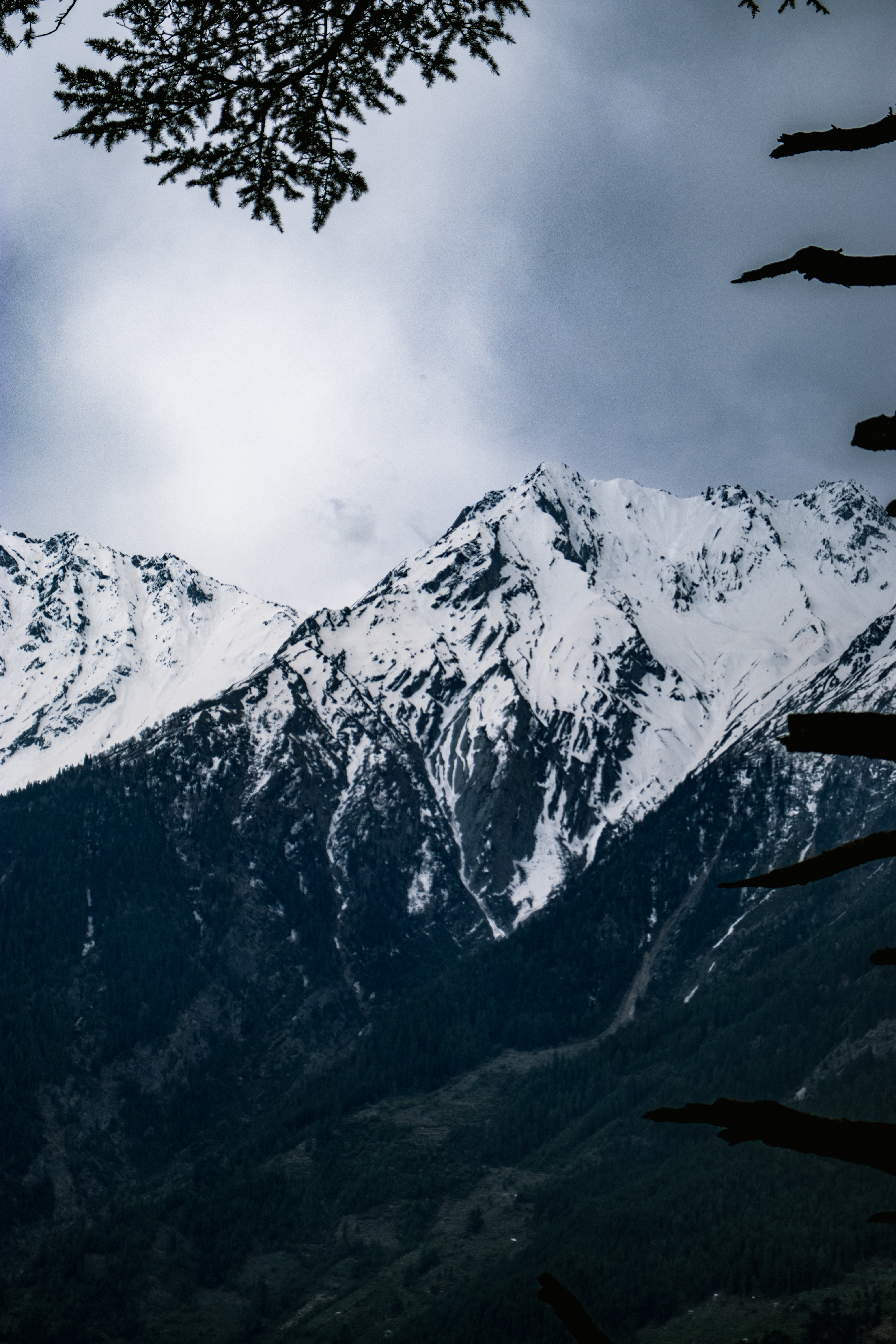Kalpa Valley