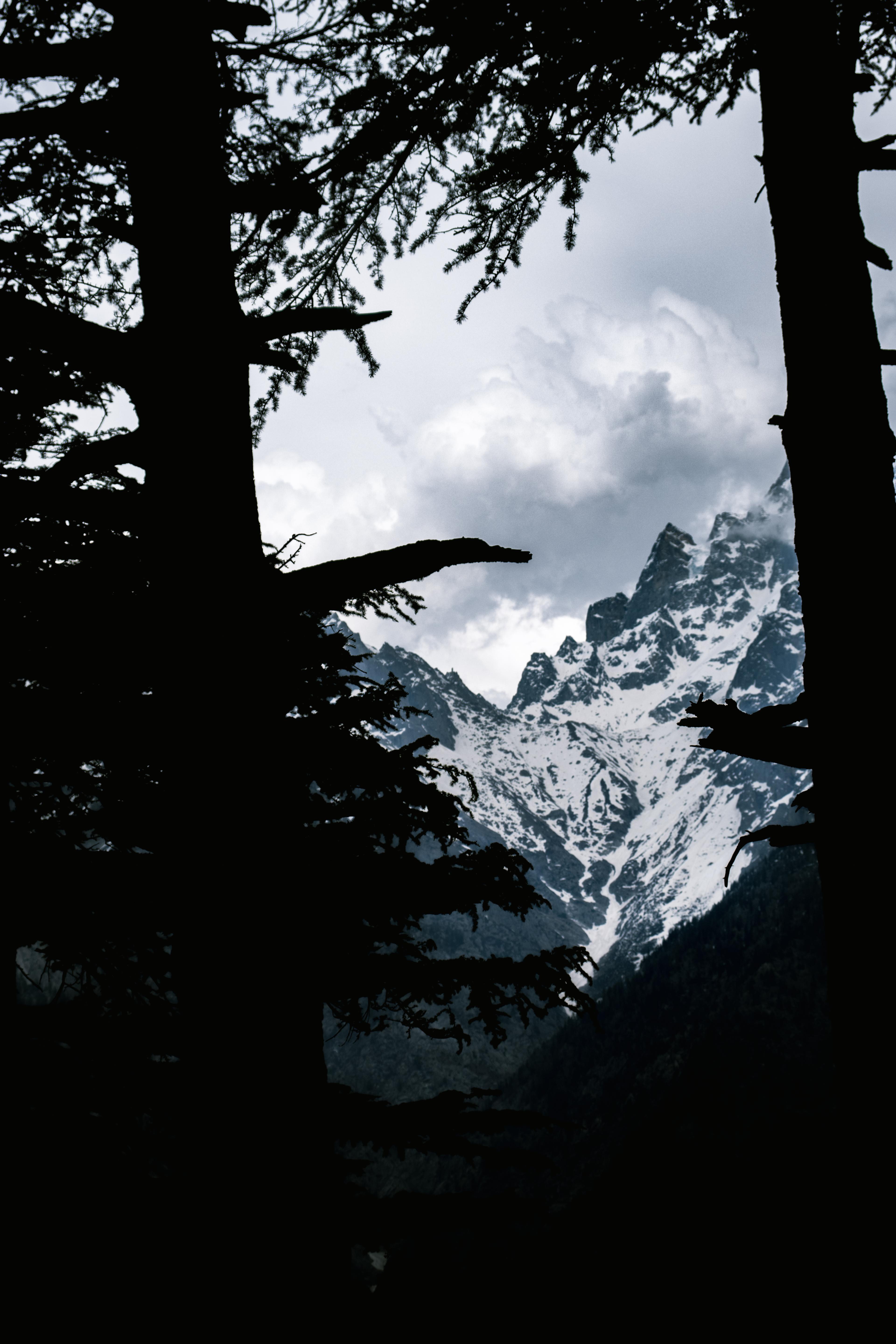 Kalpa Valley